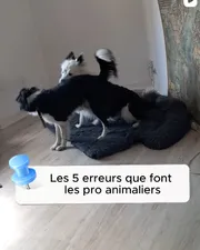 Reel : les 5 erreurs que font les pros animaliers