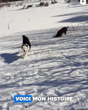 Reel : voici mon histoire