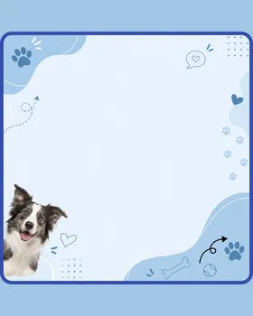 Template Instagram — citation animalière