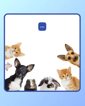 Template Instagram — accroche & annonce